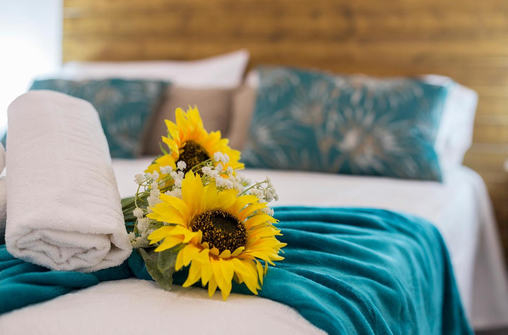 Apartament San Miguel Tranquilo Moderno Jerez de la Frontera Zewnętrze zdjęcie