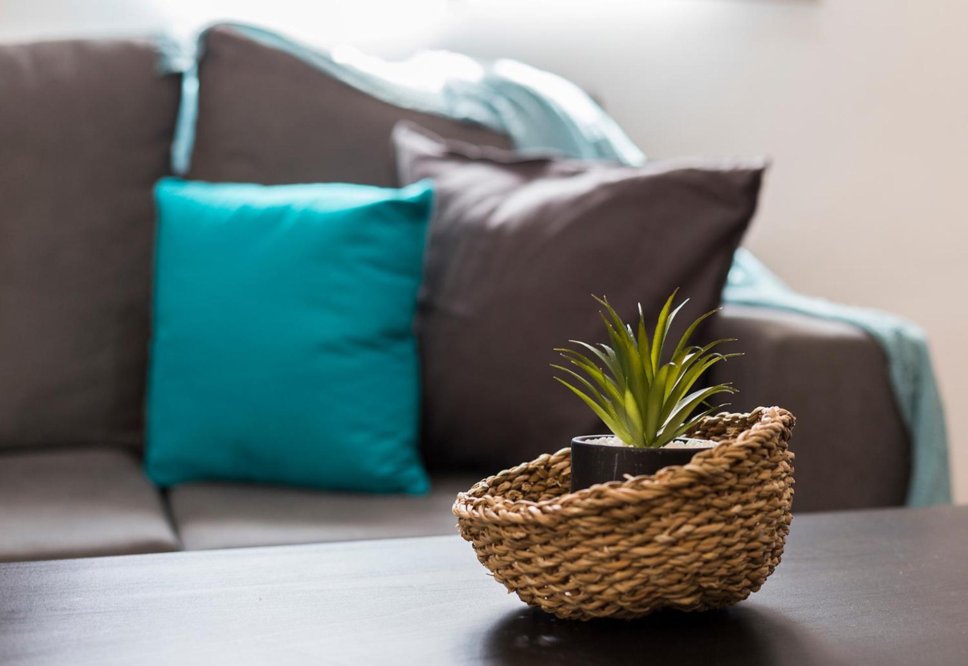 Apartament San Miguel Tranquilo Moderno Jerez de la Frontera Zewnętrze zdjęcie