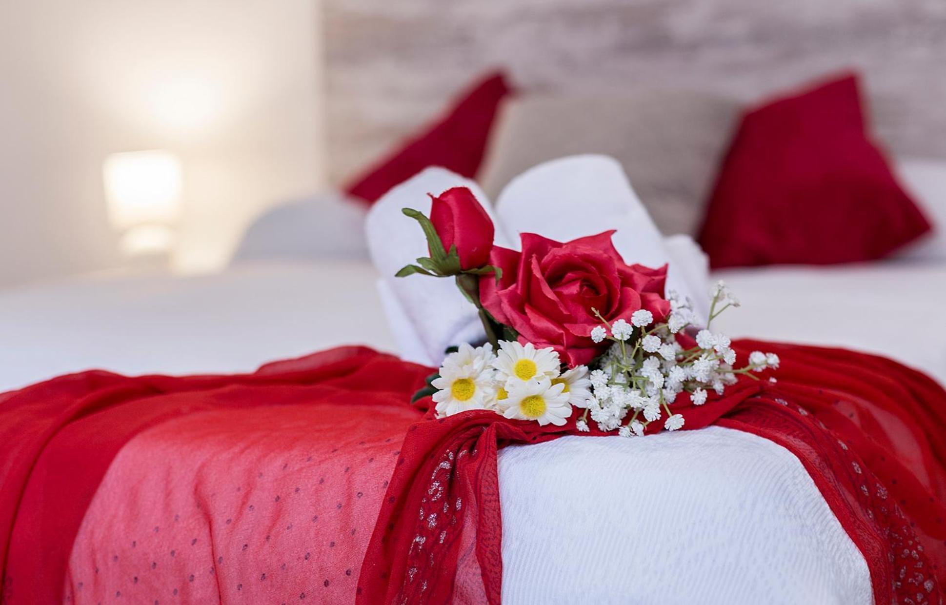Apartament San Miguel Tranquilo Moderno Jerez de la Frontera Zewnętrze zdjęcie